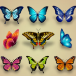 wie man ein schmetterling wird