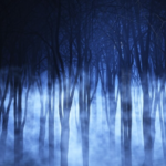 wie man in den wald hineinruft