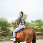 wie man tote pferde reitet