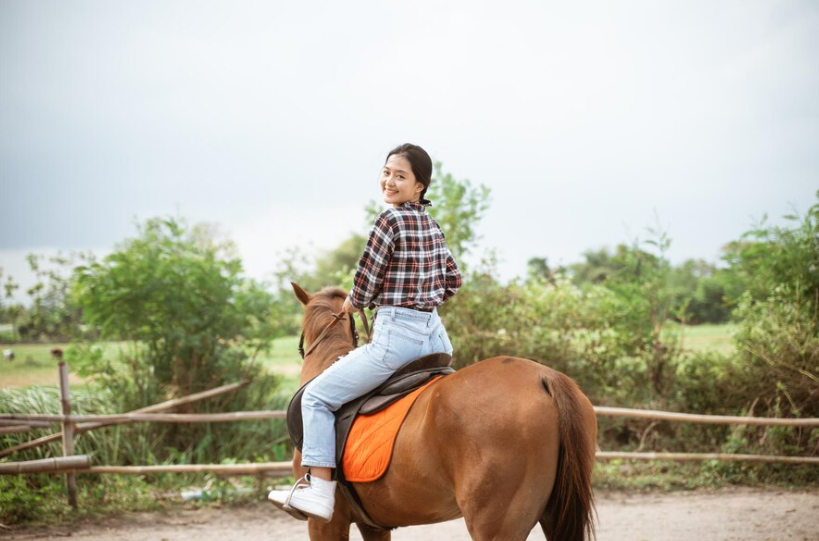 wie man tote pferde reitet